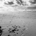 Abandoned by the tide - Ballybunion, Co. Kerry