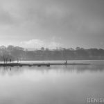 Walking the dog by the lake in Loughrea