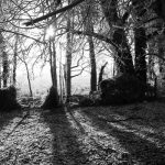 Winter Light