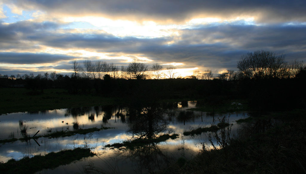 Reflections II