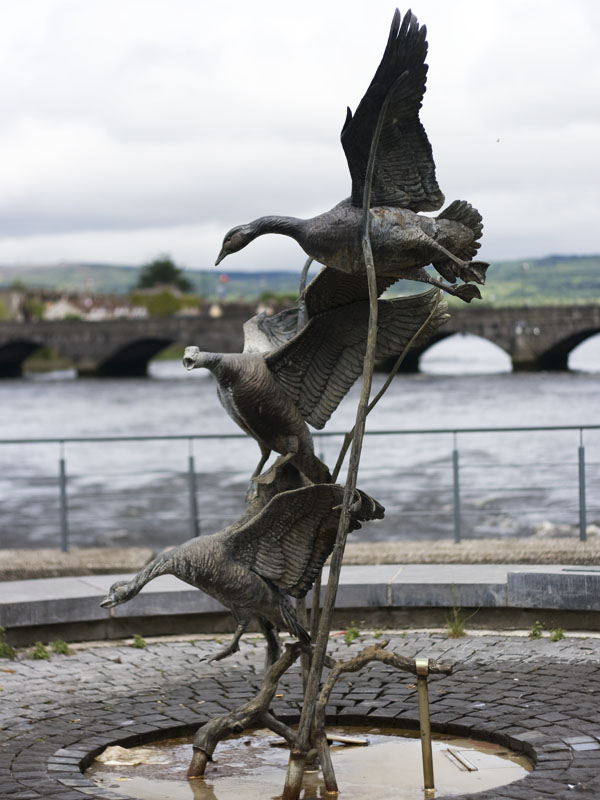 Geese Landing