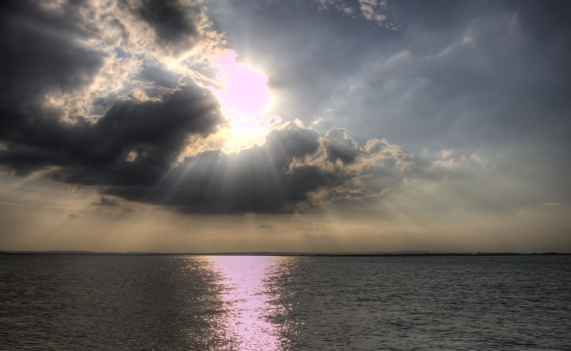Rays
