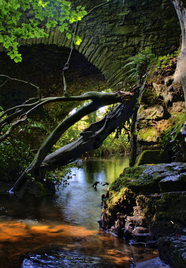 Under the Bridge