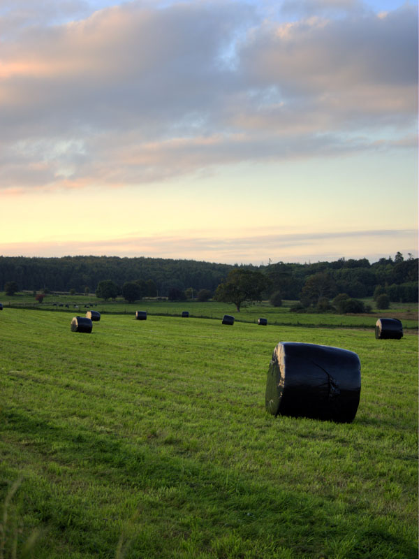 Silage Bales