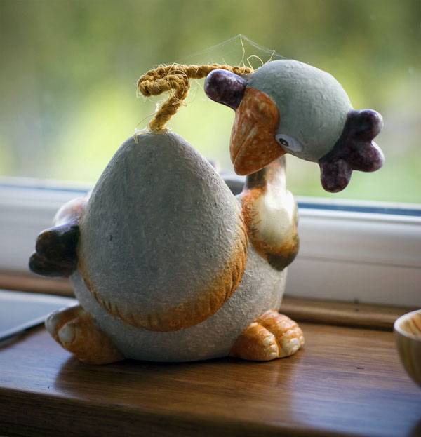 Headless Chicken