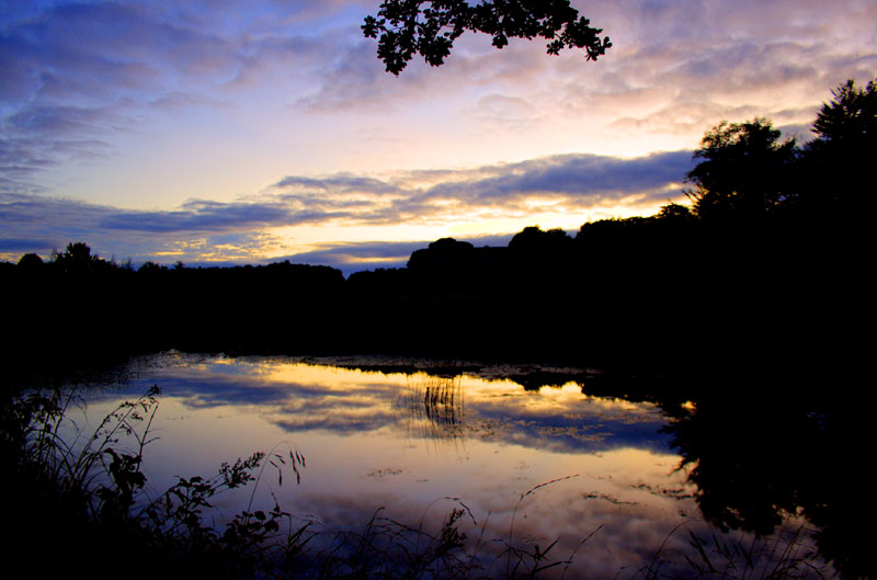 Sunset behind Curraghchase