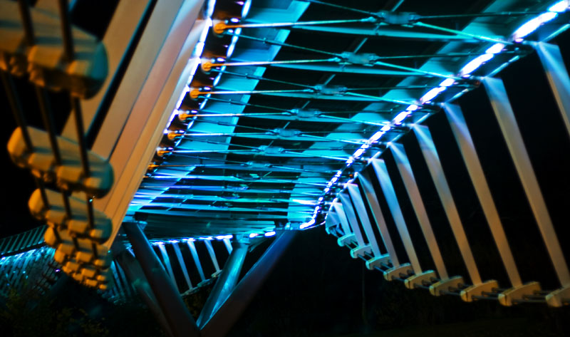 Under the Living Bridge