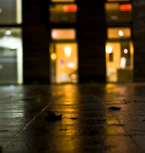 Winter in the Courtyard